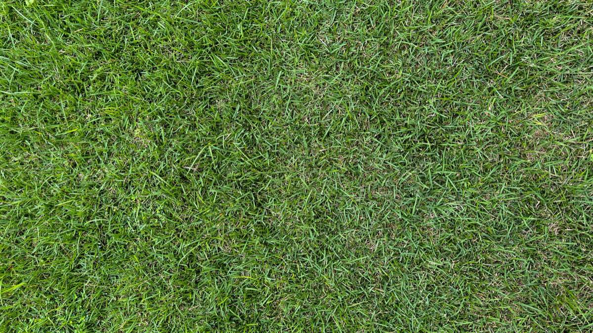 sod installation in Brownsville, TX